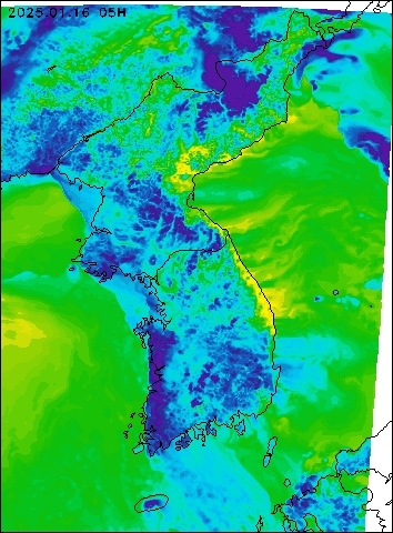 2025-01-16 05 : 00