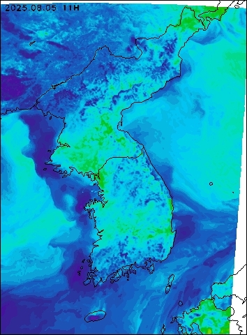 2025-08-05 11 : 00
