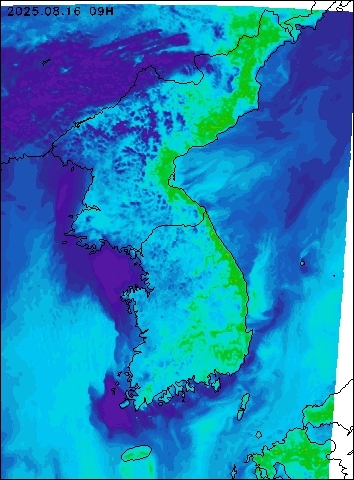 2025-08-16 09 : 00