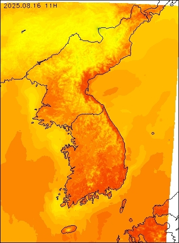2025-08-16 11 : 00