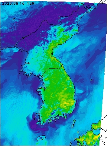 2025-08-16 12 : 00