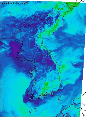 2025-08-17 09 : 00