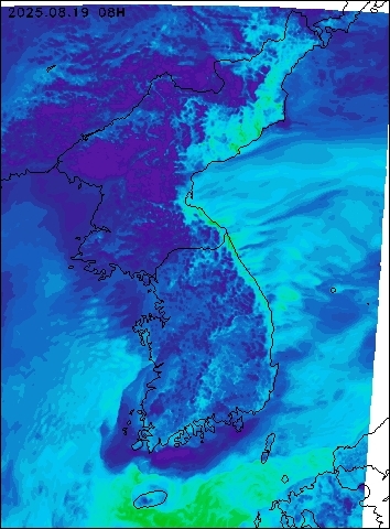 2025-08-19 08 : 00