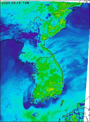 2025-08-19 14 : 00