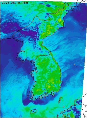 2025-08-19 16 : 00