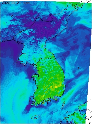 2025-08-21 12 : 00