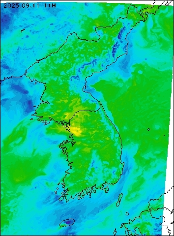 2025-09-11 11 : 00
