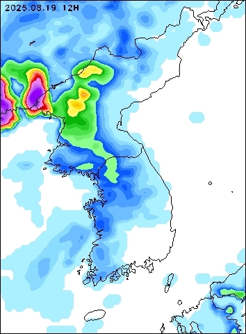 2025-08-19 12 : 00