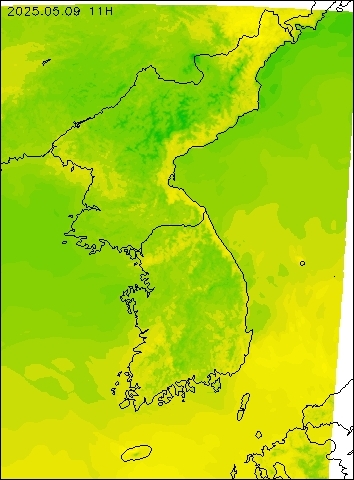 2025-05-09 11 : 00