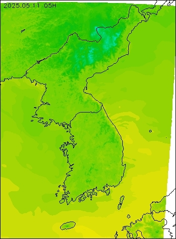 2025-05-11 05 : 00