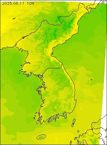 2025-05-11 10 : 00