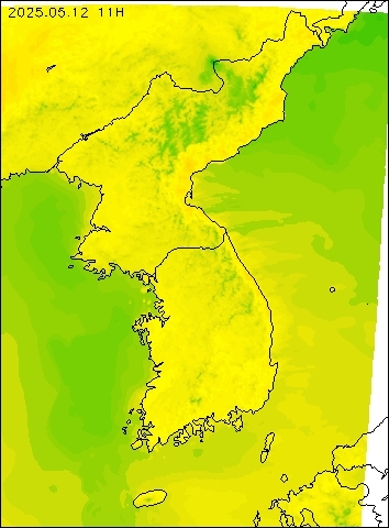 2025-05-12 11 : 00