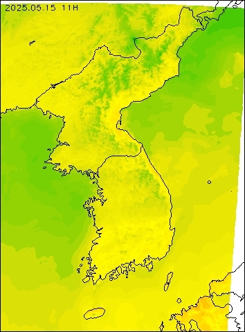 2025-05-15 11 : 00