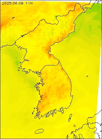 2025-06-09 11 : 00