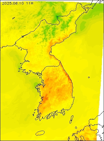2025-06-10 11 : 00
