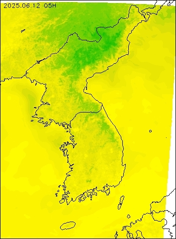 2025-06-12 05 : 00