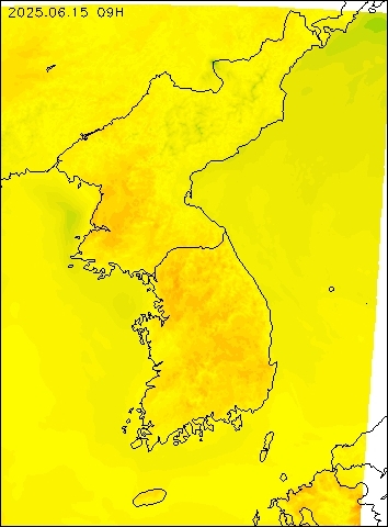 2025-06-15 09 : 00