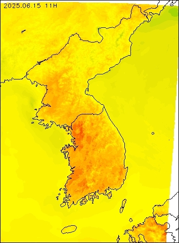 2025-06-15 11 : 00