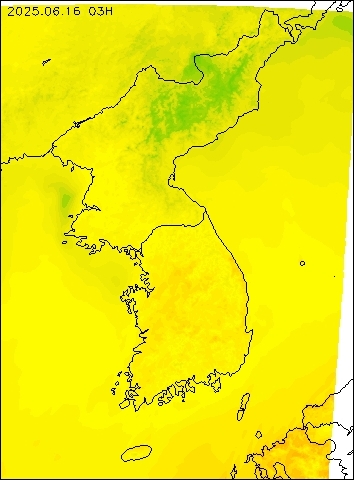 2025-06-16 03 : 00