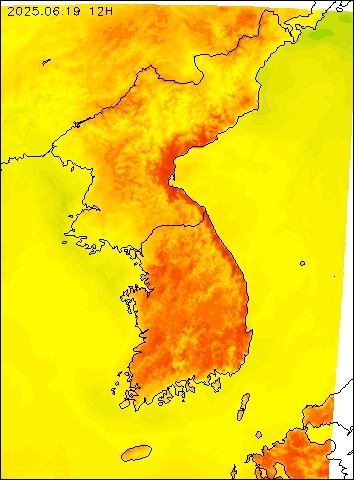2025-06-19 12 : 00