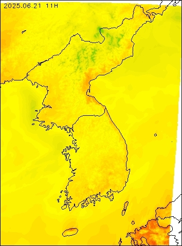 2025-06-21 11 : 00