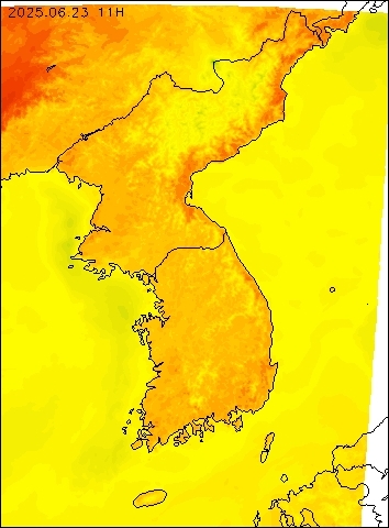 2025-06-23 11 : 00