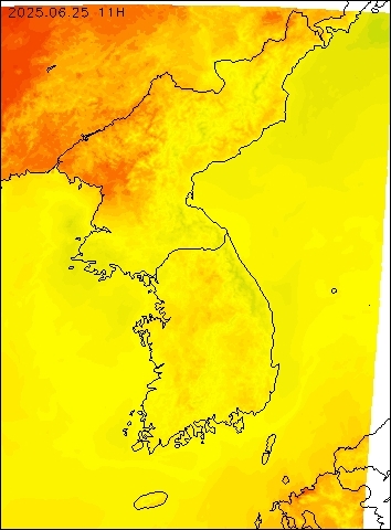 2025-06-25 11 : 00