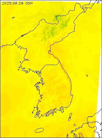 2025-06-29 05 : 00