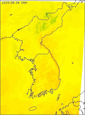 2025-06-29 06 : 00