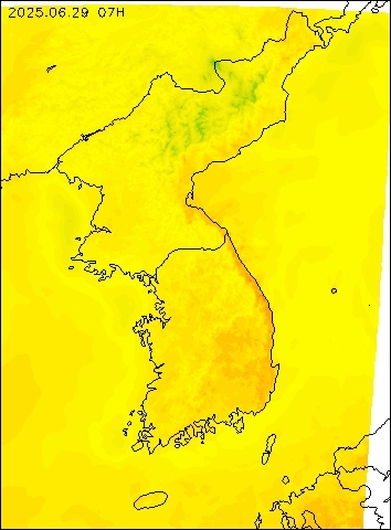 2025-06-29 07 : 00