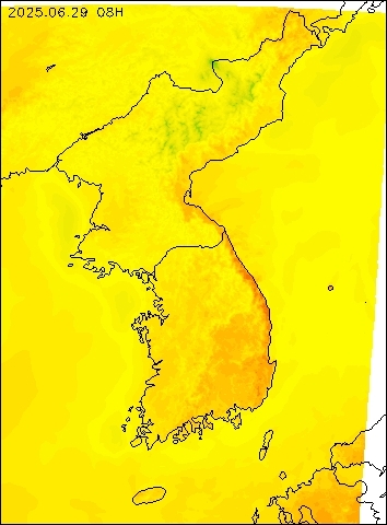 2025-06-29 08 : 00