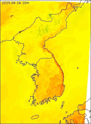 2025-06-29 09 : 00