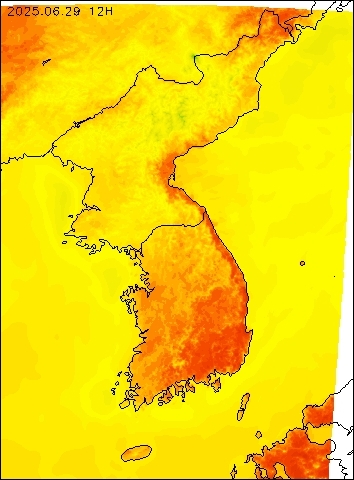 2025-06-29 12 : 00