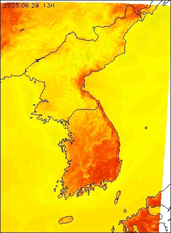 2025-06-29 13 : 00