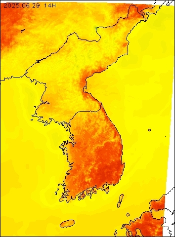 2025-06-29 14 : 00
