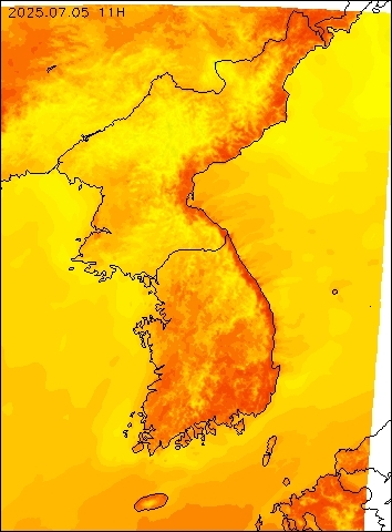 2025-07-05 11 : 00