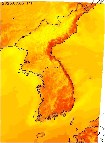 2025-07-06 11 : 00