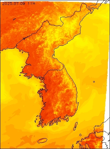 2025-07-09 11 : 00