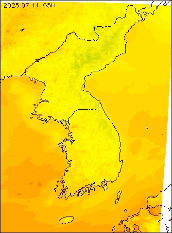 2025-07-11 05 : 00