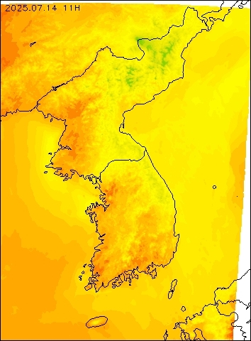 2025-07-14 11 : 00