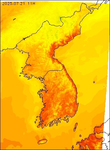 2025-07-21 11 : 00