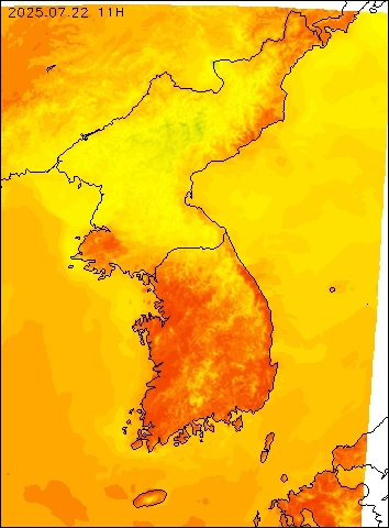 2025-07-22 11 : 00
