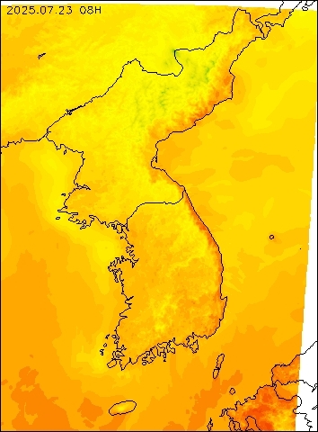 2025-07-23 08 : 00