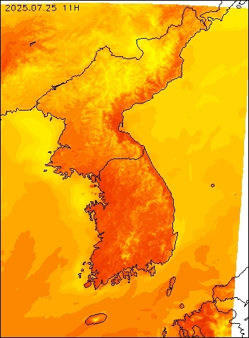 2025-07-25 11 : 00