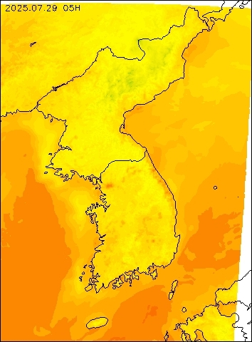 2025-07-29 05 : 00