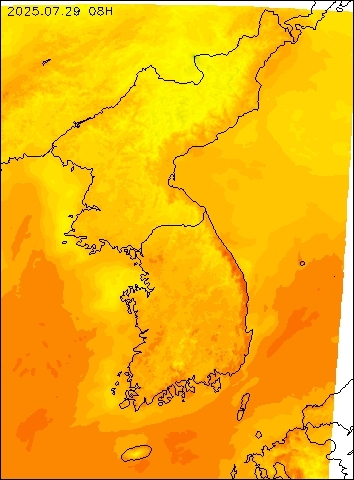 2025-07-29 08 : 00