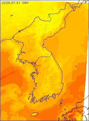 2025-07-31 08 : 00