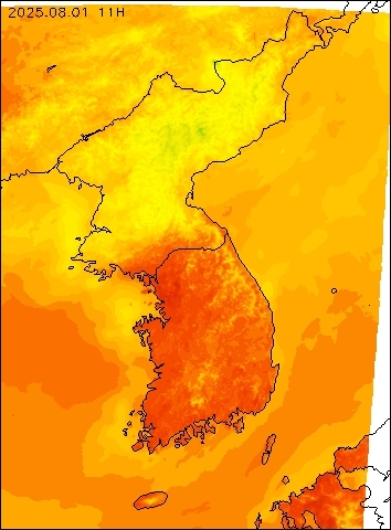 2025-08-01 11 : 00
