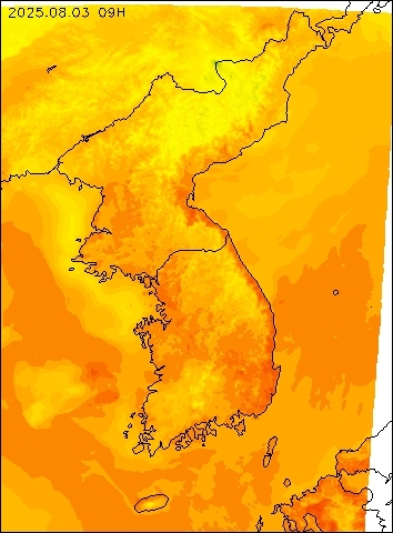 2025-08-03 09 : 00