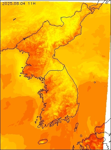2025-08-04 11 : 00